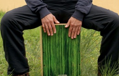 Cursos de percusión en la Naturaleza